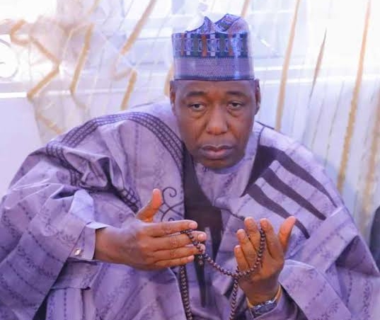 Borno State Governor, Babagana Zulum