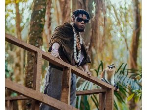 Nigerian artiste, Dennis Today