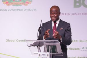 Minister of Finance, Wale Edun