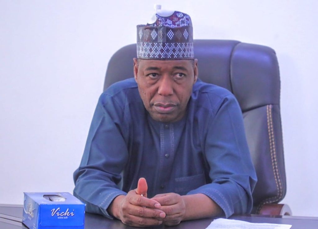 Presidency: Only Borno pays 30% monthly bonus for rural health workers 2 IMG 20240823 WA0007