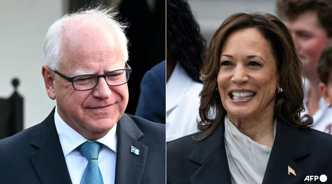 Democratic presidential nominee, Kamala Harris, has picked Minnesota Governor, Tim Walz,