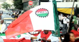 NLC flag