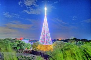 Africa’s tallest Christmas tree Abuja