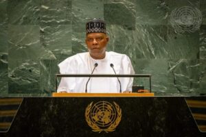 VP Kashim Shettima
