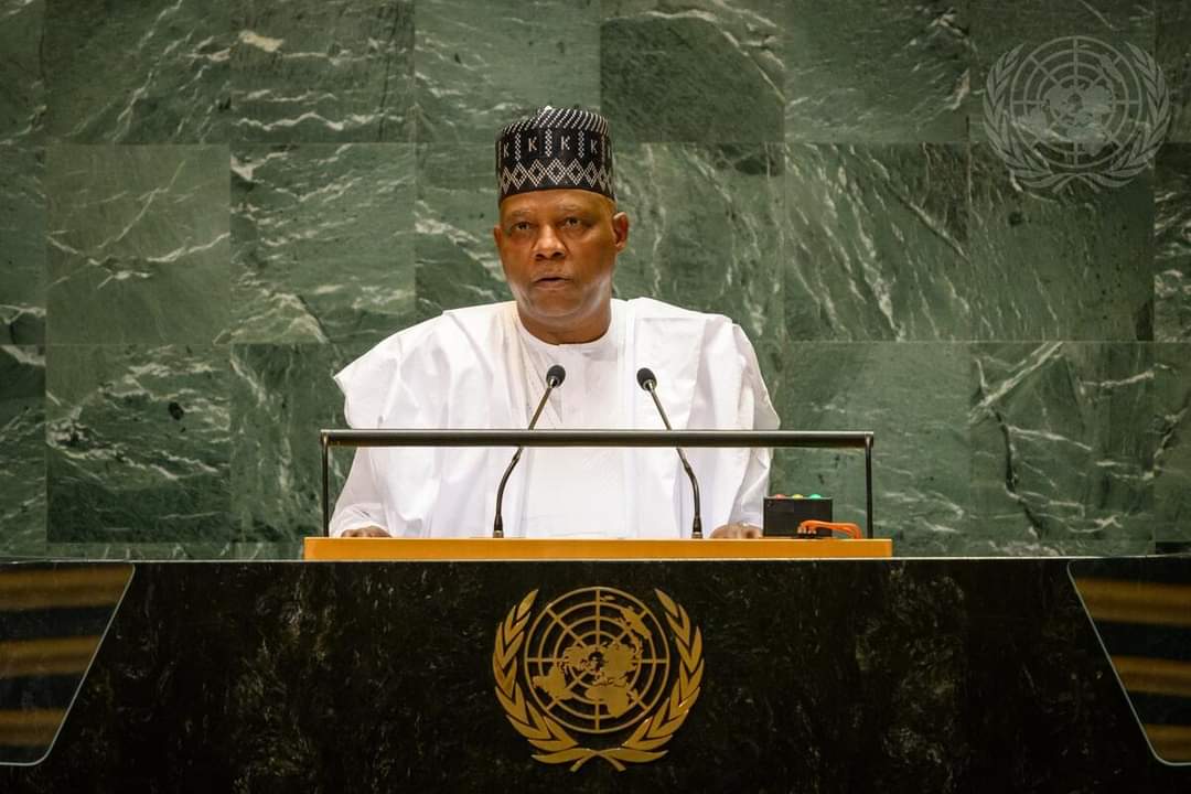 VP Kashim Shettima