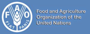 Food and Agriculture Organization FAO 1