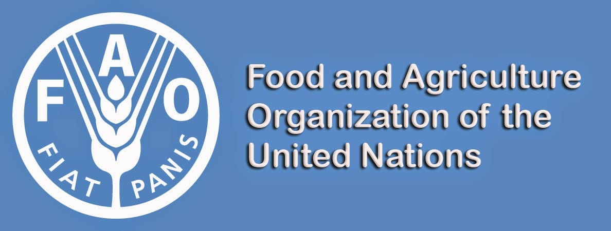 Food and Agriculture Organization FAO 1