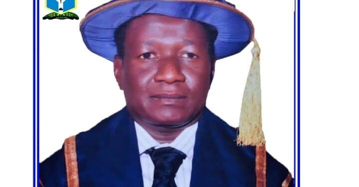 Vice Chancellor of UNIMAID, Professor Mohammed Laminu Mele