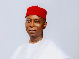 Senator Ned Nwoko