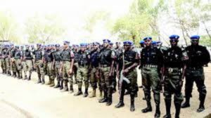 Nigeria Police