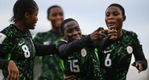 flamingos