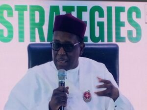 Minister of Health, Mohammed Pate