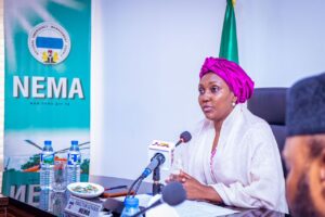 Director-General of the National Emergency Management Agency (NEMA), Mrs. Zubaida Umar