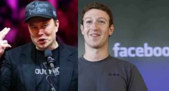 musk Zukerberg