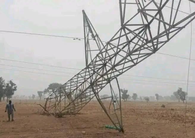 TCN electricity