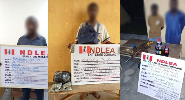 Arrest NDLEA