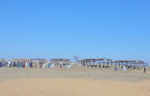 IMG 20250127 WA0026