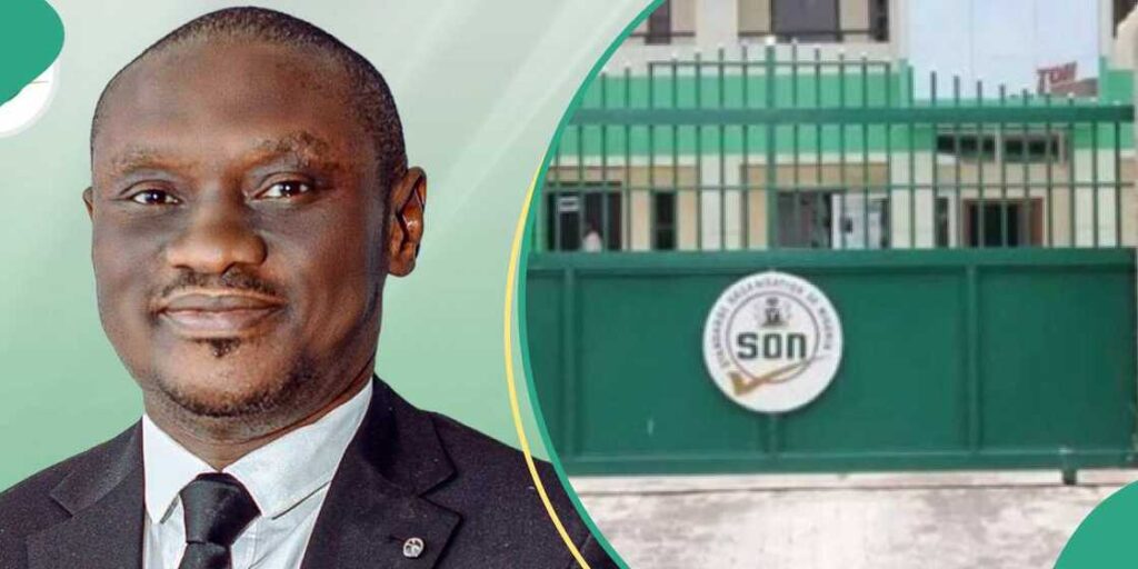 Dr Ifeanyi Okeke DG SON