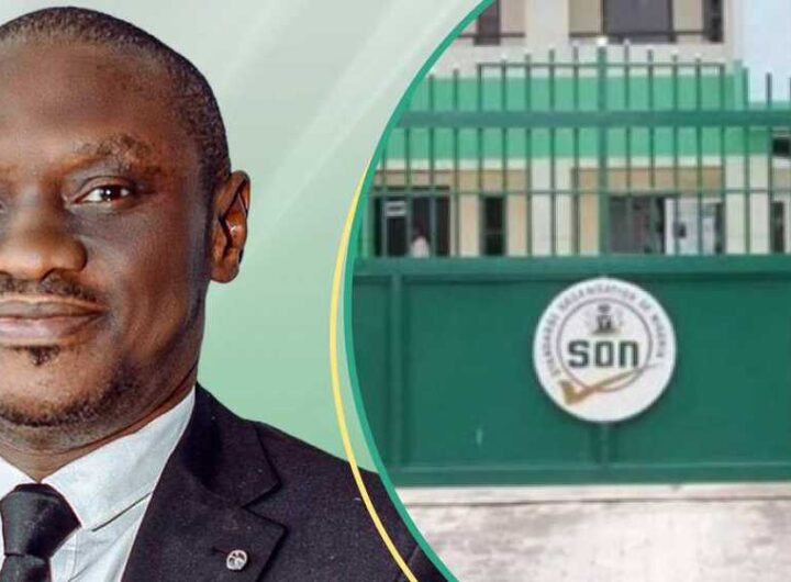Dr Ifeanyi Okeke DG SON