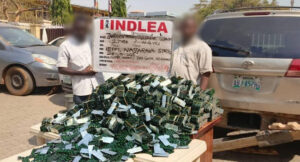 Drug Sienna Suspects