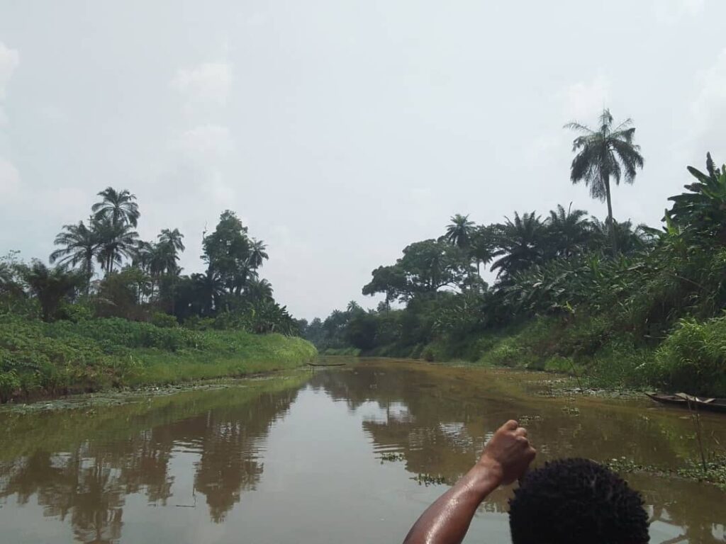 IMG 20250219 WA0060 3