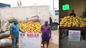 NDLEA arrests suspects