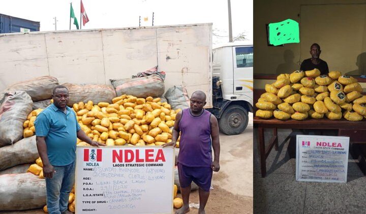 NDLEA arrests suspects