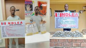 NDLEA arrests suspects