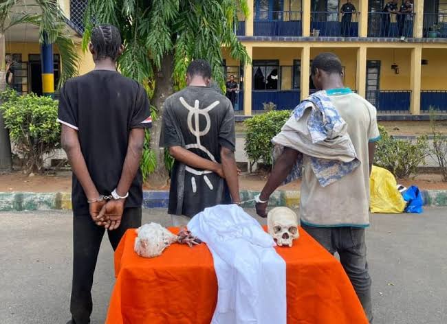 Ritualist arrested with human skulls