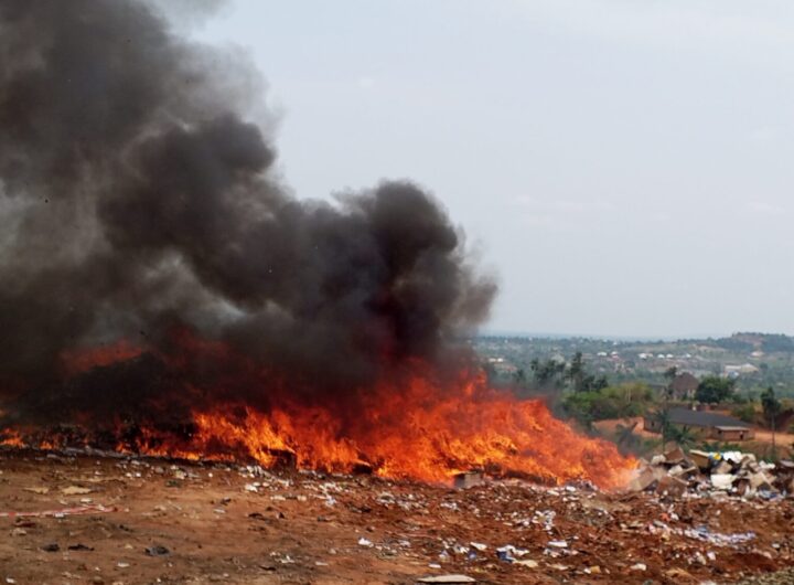 NAFDAC officials at the destruction exercise