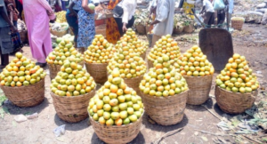 Fruits