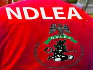 NDLEA