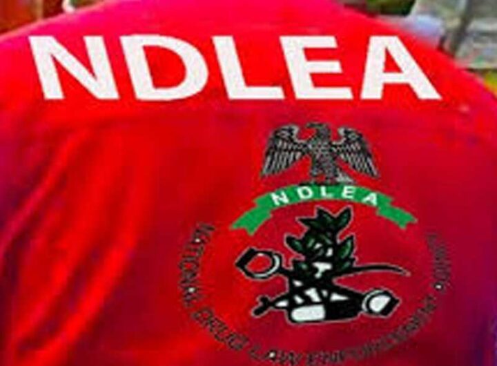 NDLEA