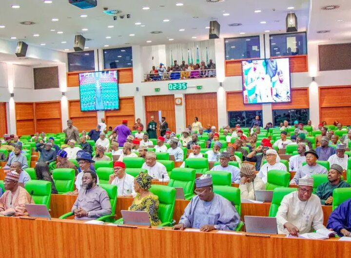 Lawmakers at the House of Representatives