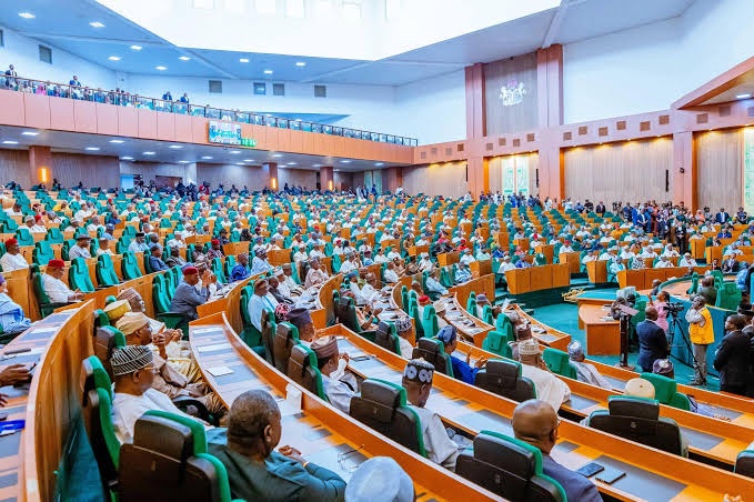 Lawmakers at the House of Representatives