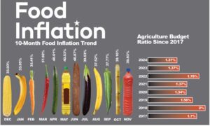 Food Inflation