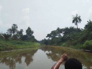 Crude oil spill in Niger Delta