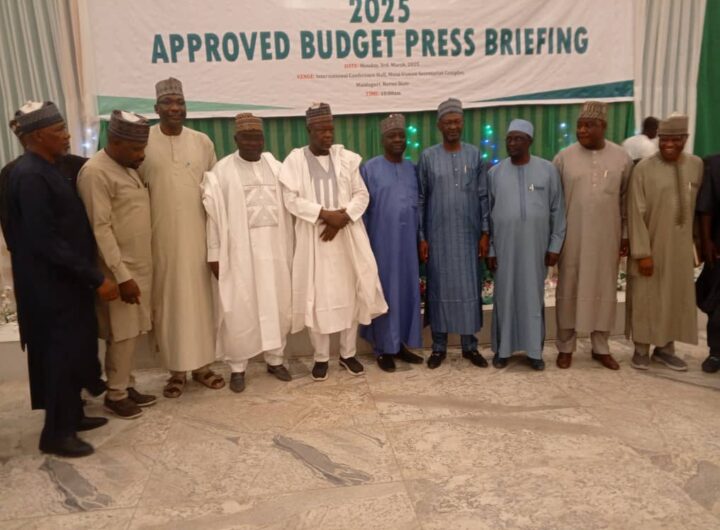 Borno State budget