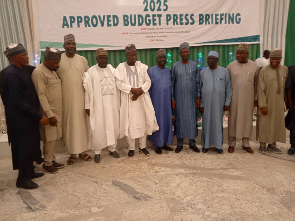 Borno State budget