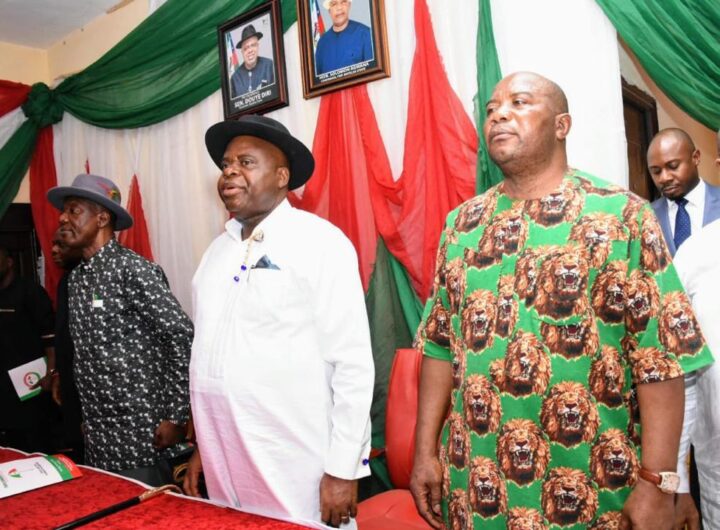 Diri rejects South-South PDP congress, calls for unity