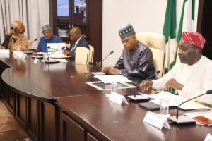 Nigeria on new growth trajectory – Shettima