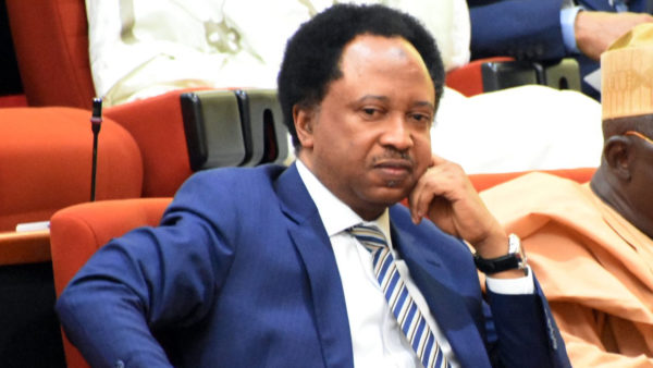 Former Senator Shehu Sani