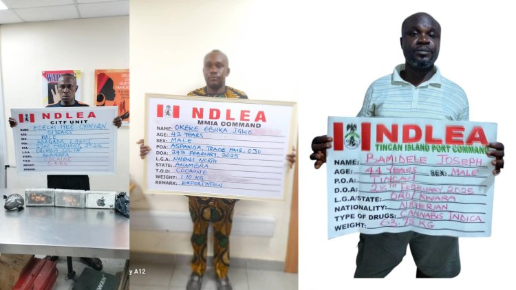 Turkey-bound businessman excretes 120 wraps of cocaine at Kano airport 3