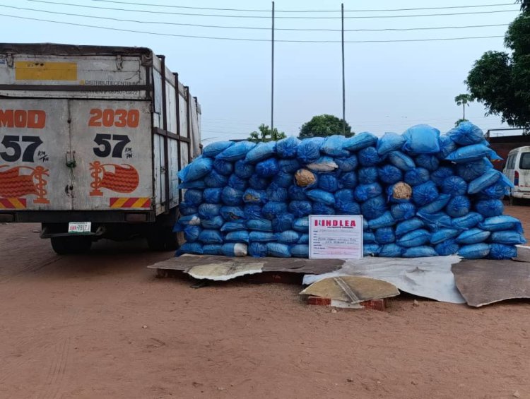 Turkey-bound businessman excretes 120 wraps of cocaine at Kano airport 5