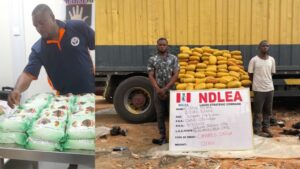 Arrested drug suspects