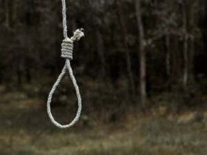 Suicide rope in the forest