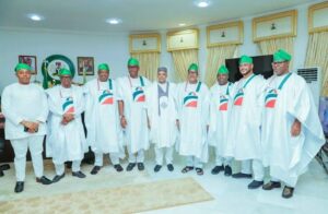 PDP governors