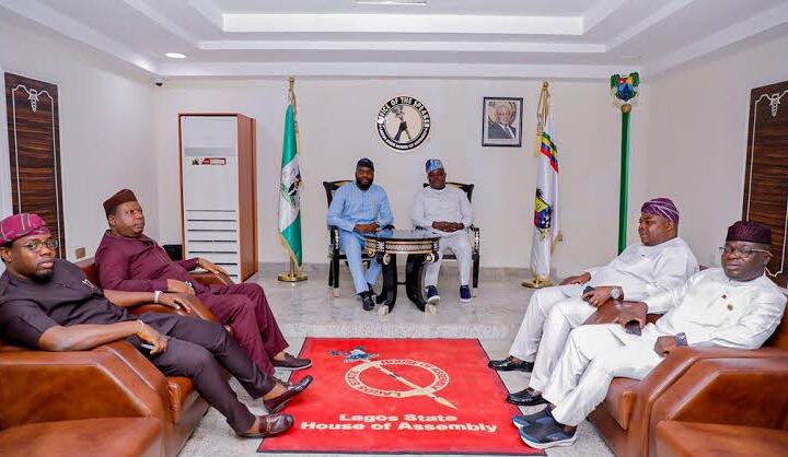 Conference of Speakers of State Legislatures of Nigeria (CSSLN)