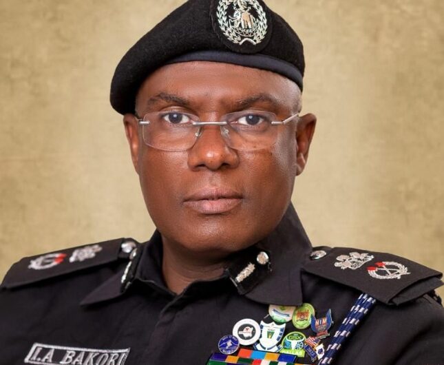 Kano State Police Commissioner, CP Ibrahim Bakori