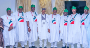 PDP governors